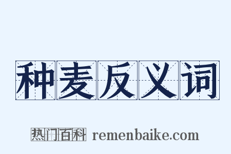 种麦反义词是什么意思的图片